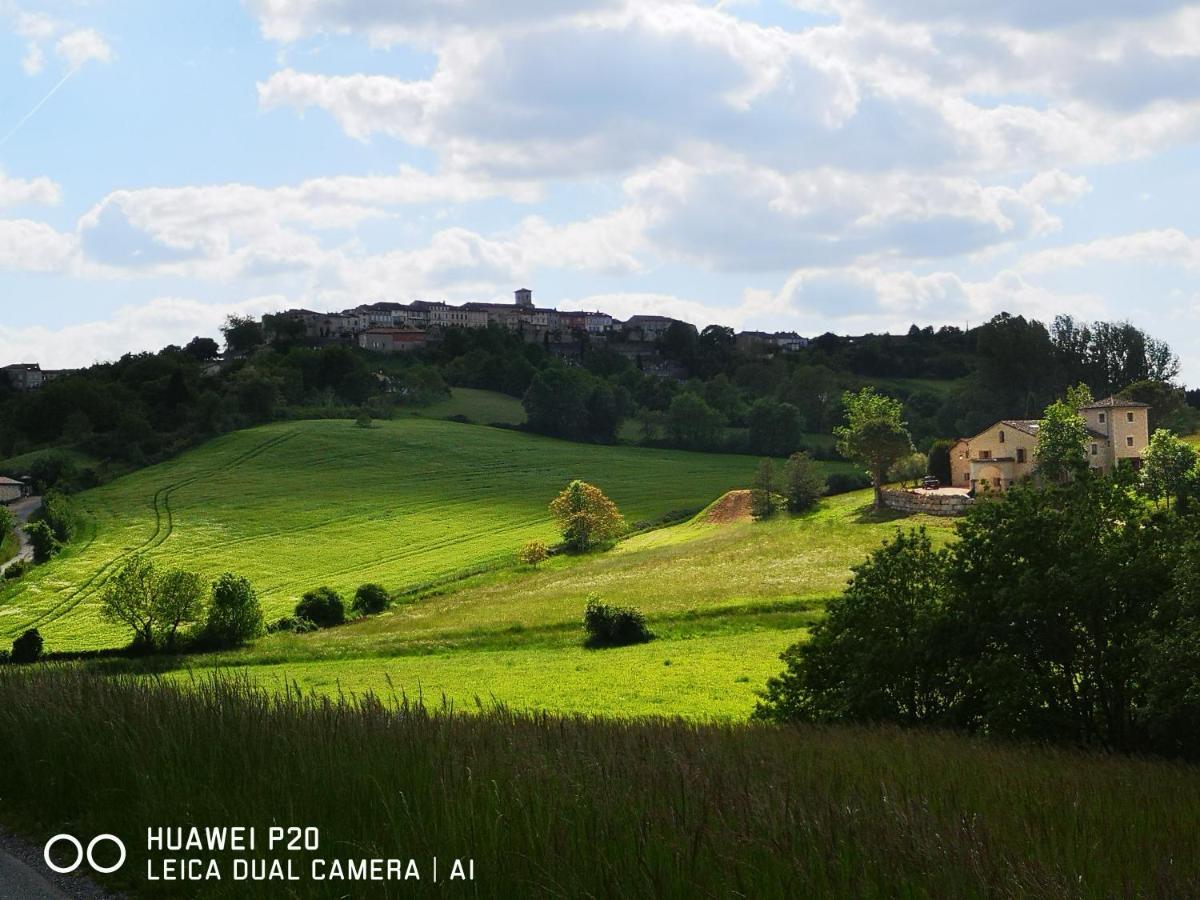 Castel Mazars Castelnau-de-Montmiral Exterior foto